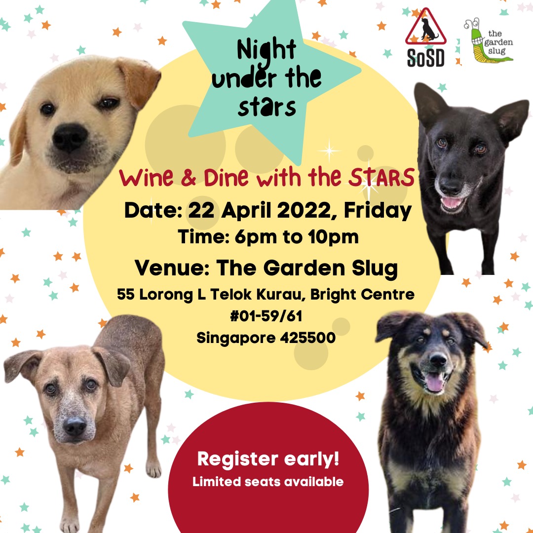 Dog Adoption Drive & Fundraiser